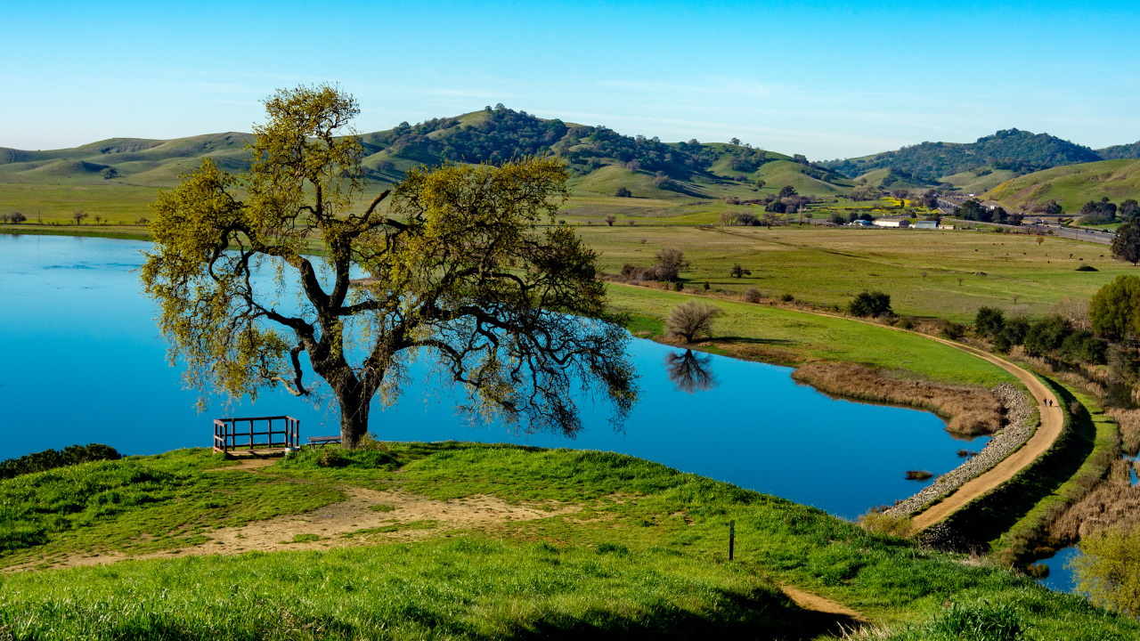 Pics%20for%20website