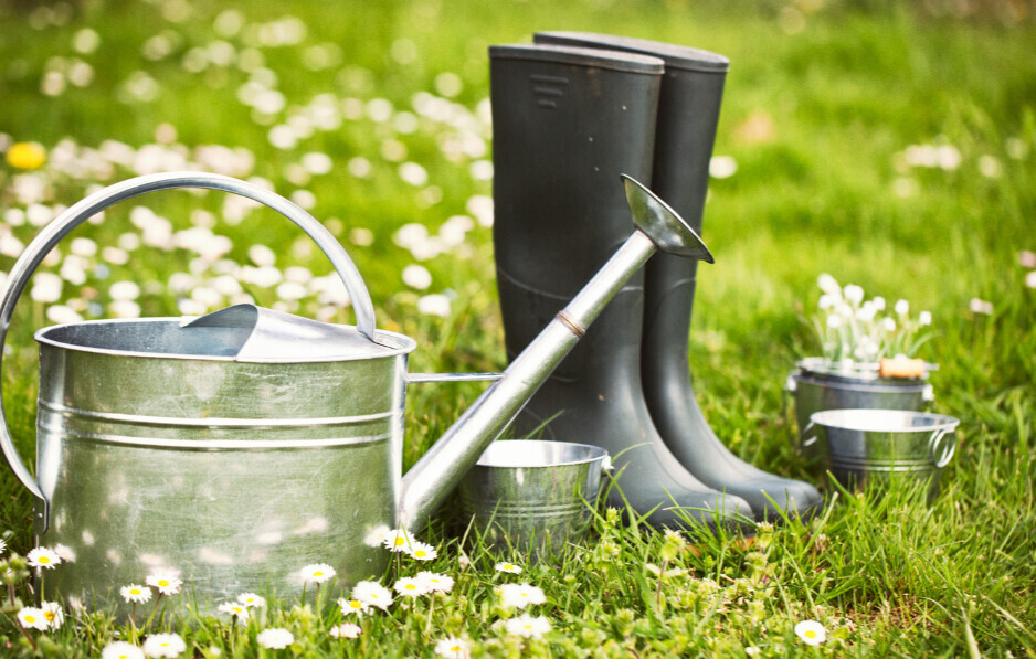 picture of gardening tools