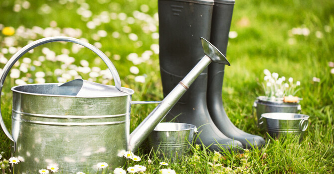From Gardening Gloves to Hiking Boots